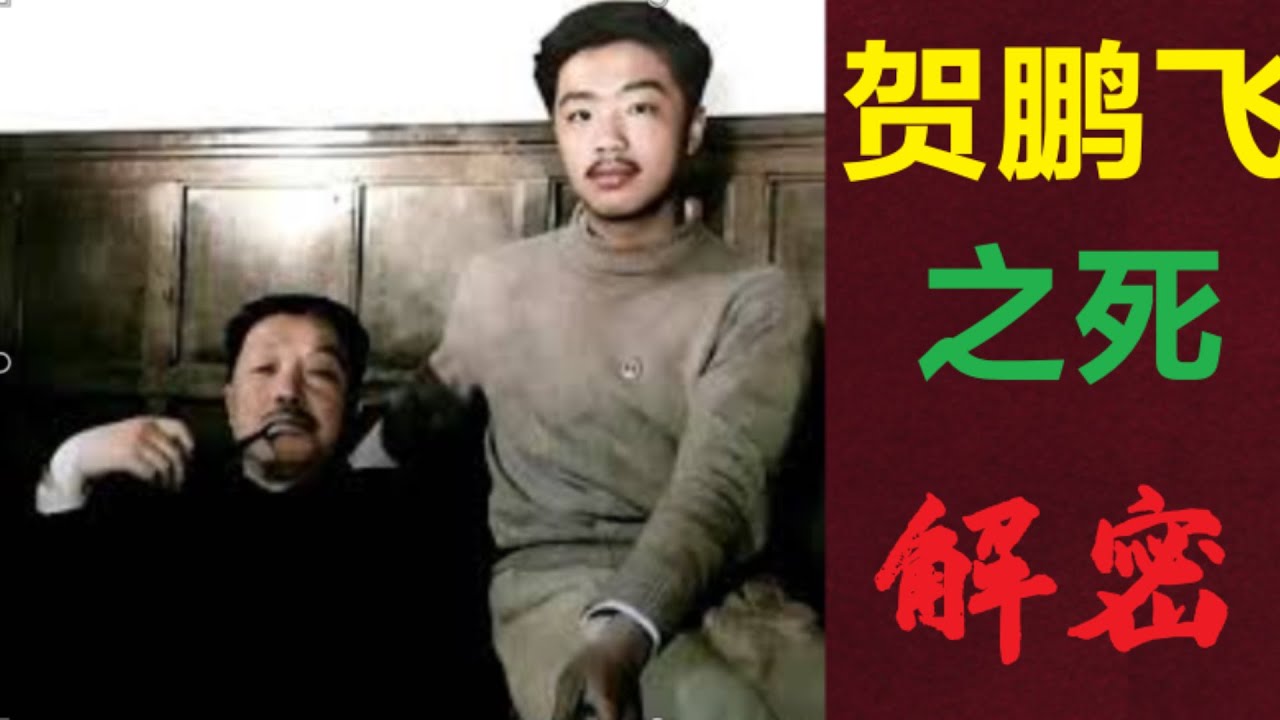 贺龙之子 贺鹏飞之死解密  (中文字幕)