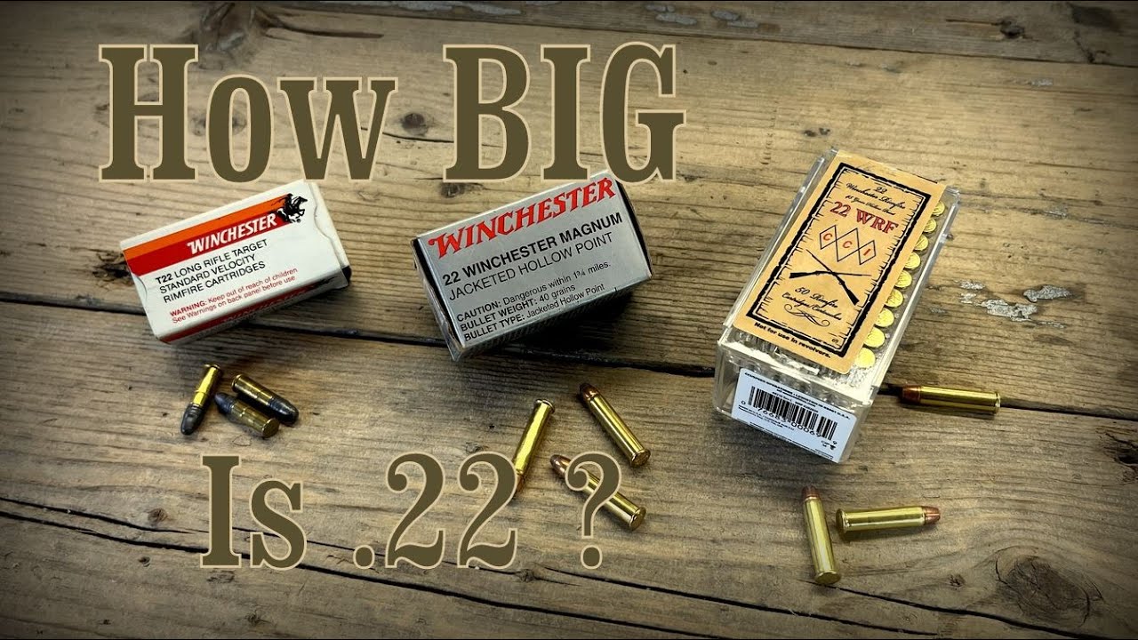 22 LR vs 22 WRF vs 22 WMR