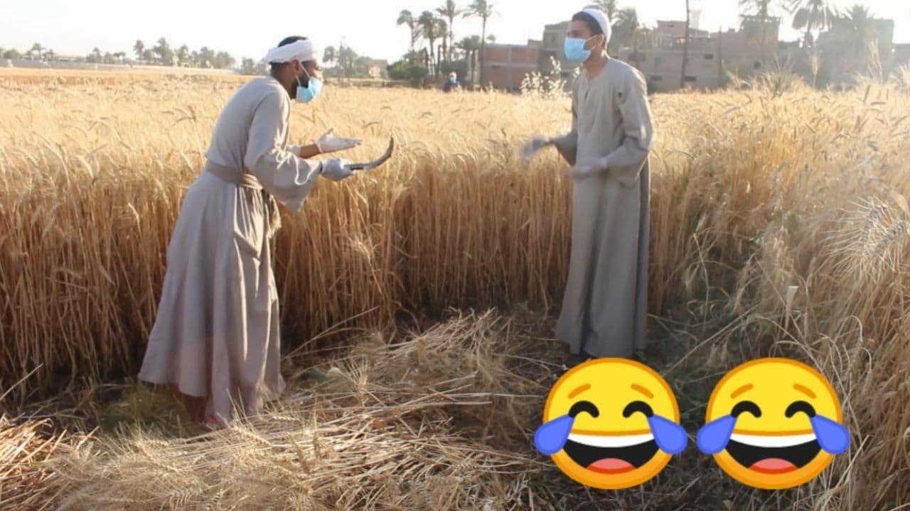 الحاج صديق شغال في الحصيد يوم وقفة العيد | اضحك مع ظرفاء الصعيد🤣🤣