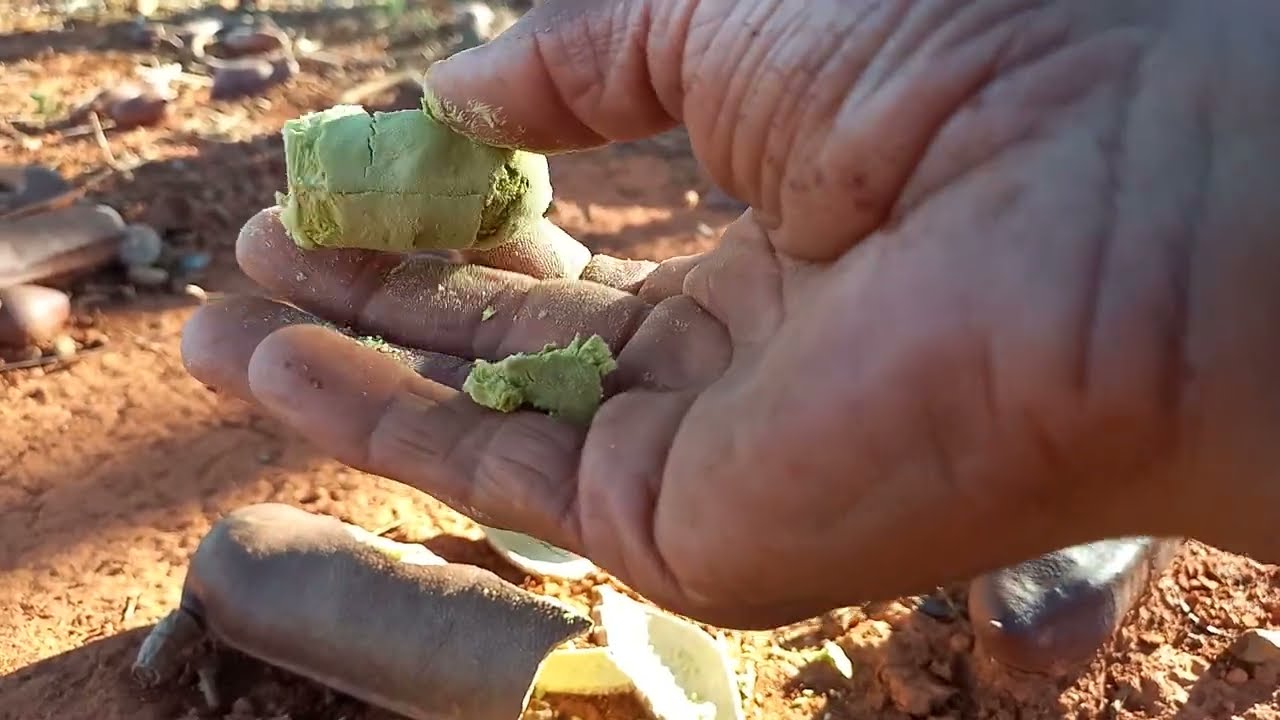 O misterio da natureza ela deixa sinais, mas as pessoas nao entenderam ainda”