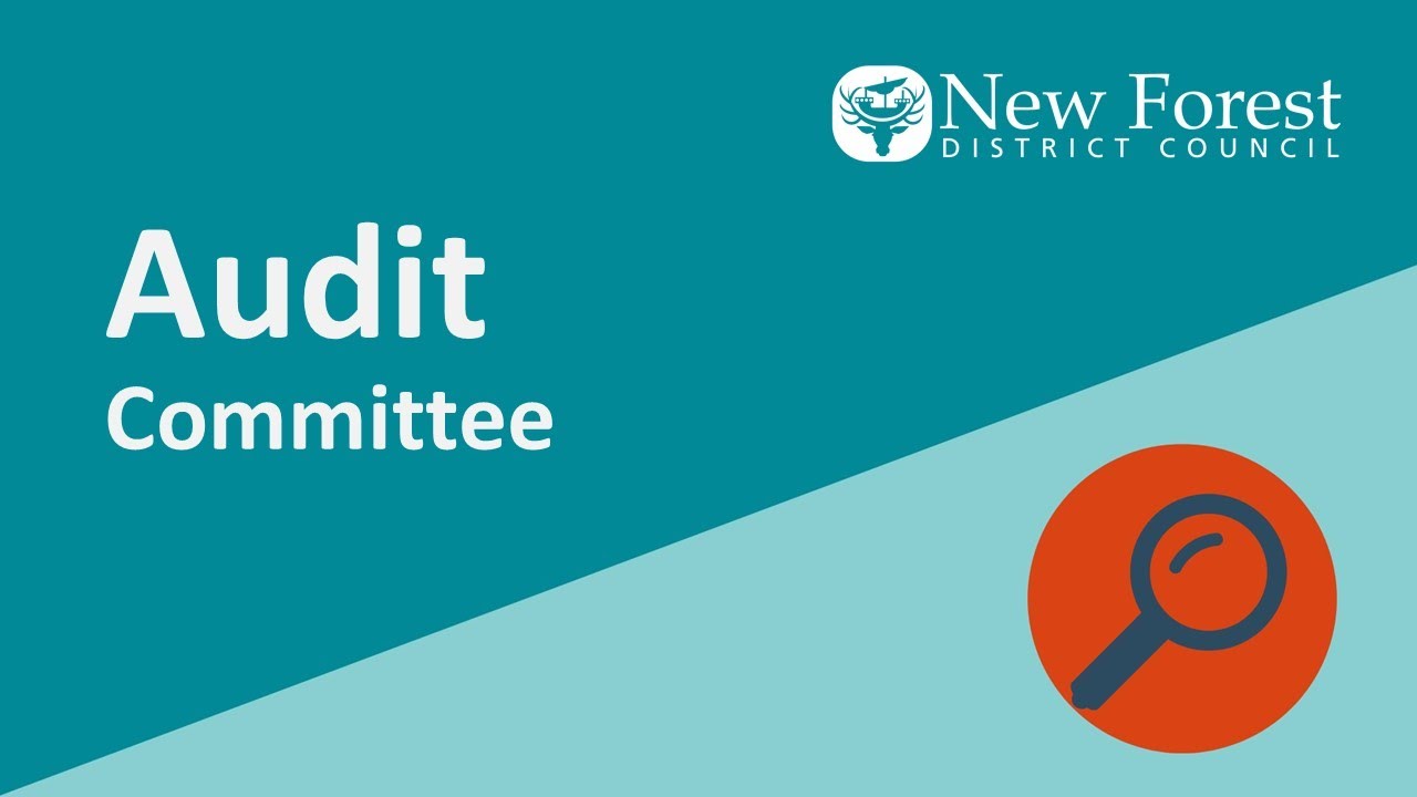 Audit Committee - 31 October 2025