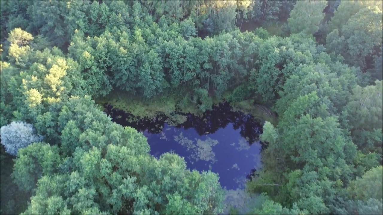 wólka jezioro łąkie