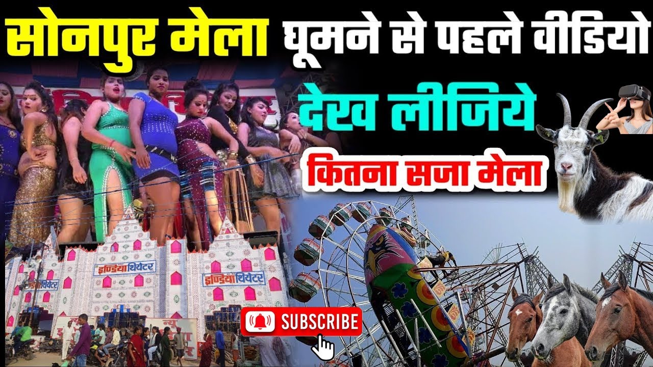 Sonpur mela 2024 video | घूमिये पूरा सोनपुर मेला | Dog market | horse market | theater video |