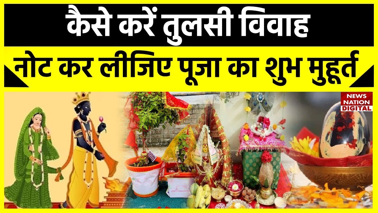 Tulsi Vivah 2023 Puja: तुलसी विवाह कैसे करें , जान लीजिए पूजा का शुभ मुहूर्त नहीं होगी धन की कमी!