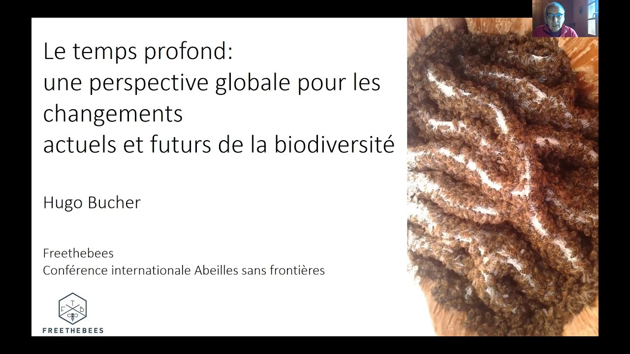 Hugo Bucher : Temps profond perspective globale pour les changements actuels futurs en biodiversité