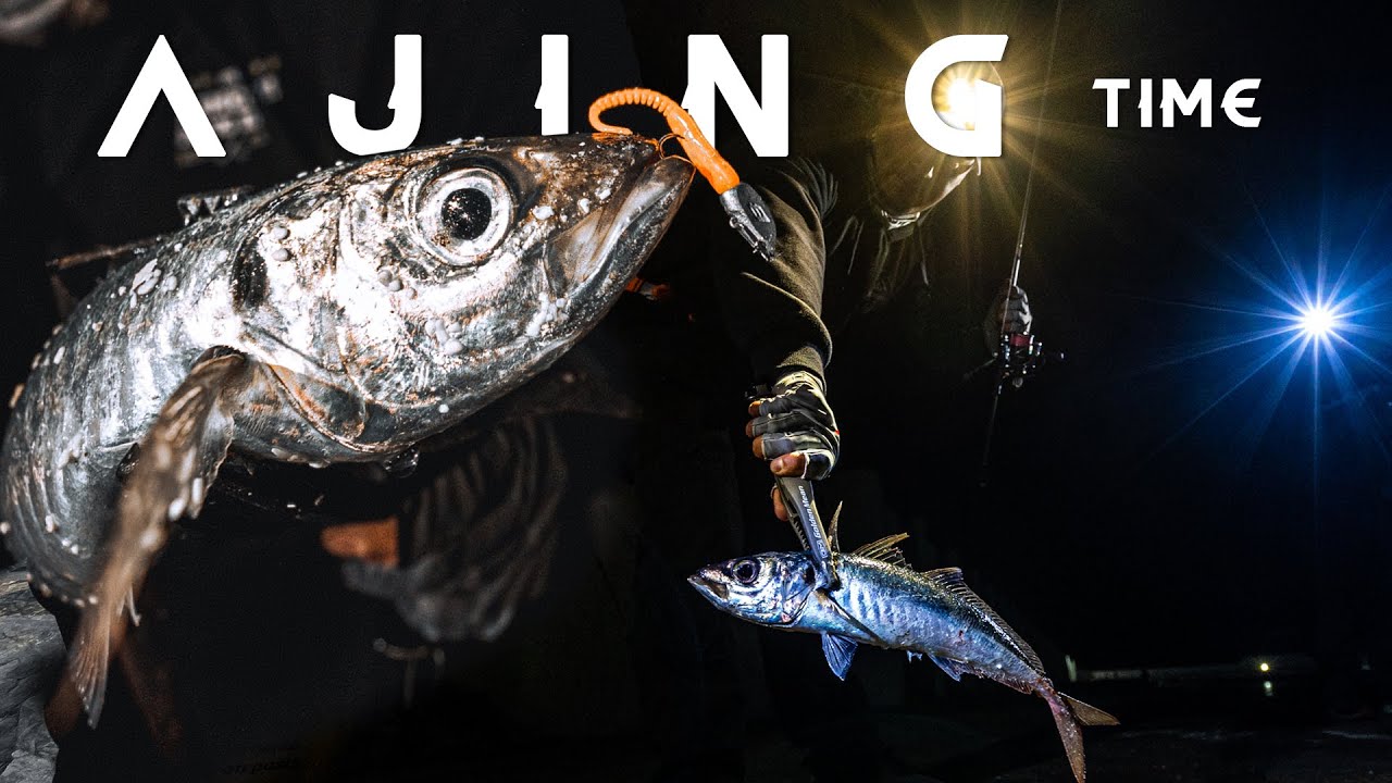 AJING TIME - Pesca en Muelle con Lineas NOCTURNAS de UNITIKA