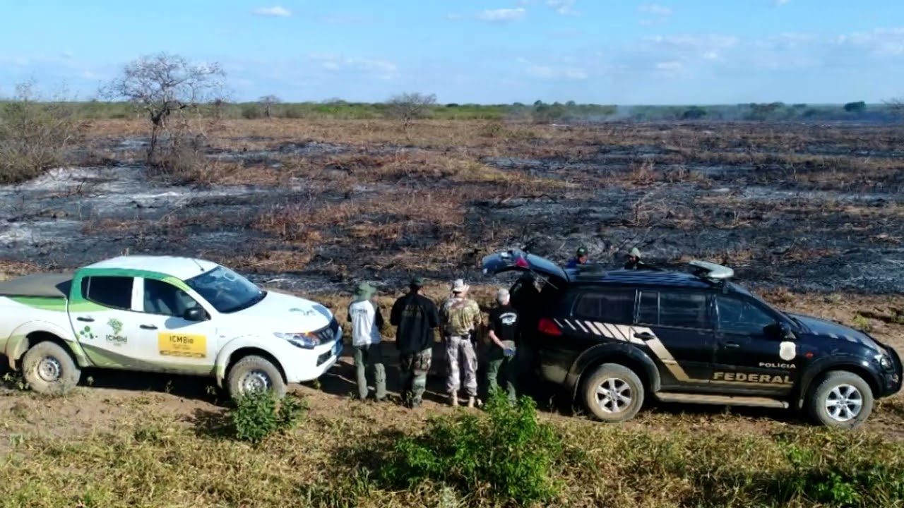 Policia Federal flagra área com desmatamento ilegal na Floresta Nacional do Araripe