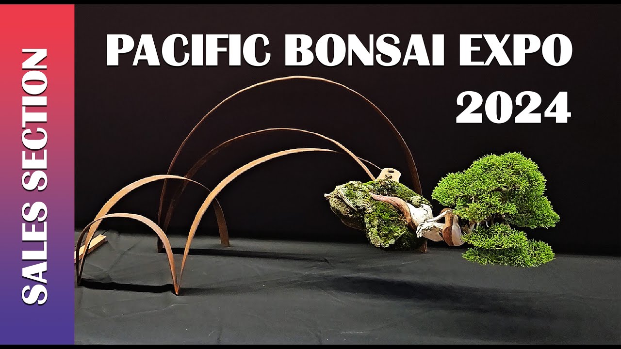2024 Pacific Bonsai Expo |  Part 2 The Sales Section