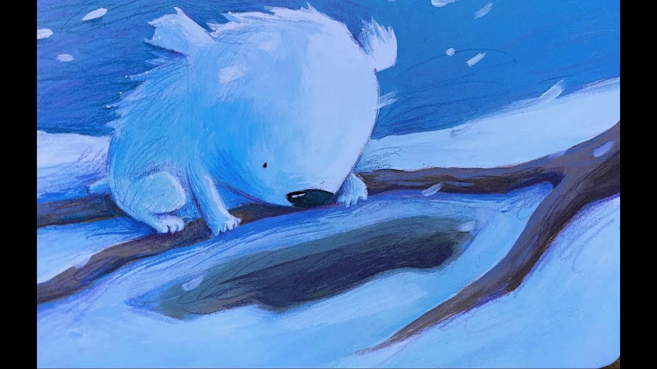UN OSSET A LA NEU - Contes infantils en català