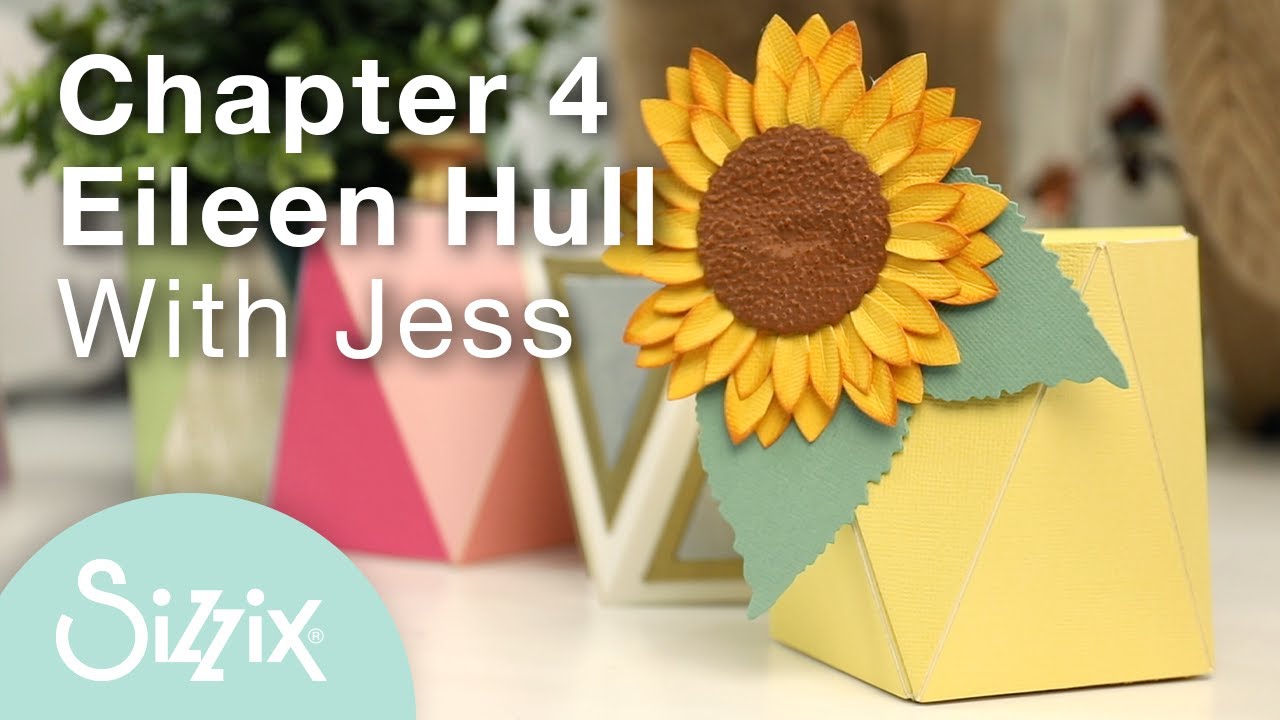 Sizzix: DIY Plant Pot Using Eileen Hull Geometric Box