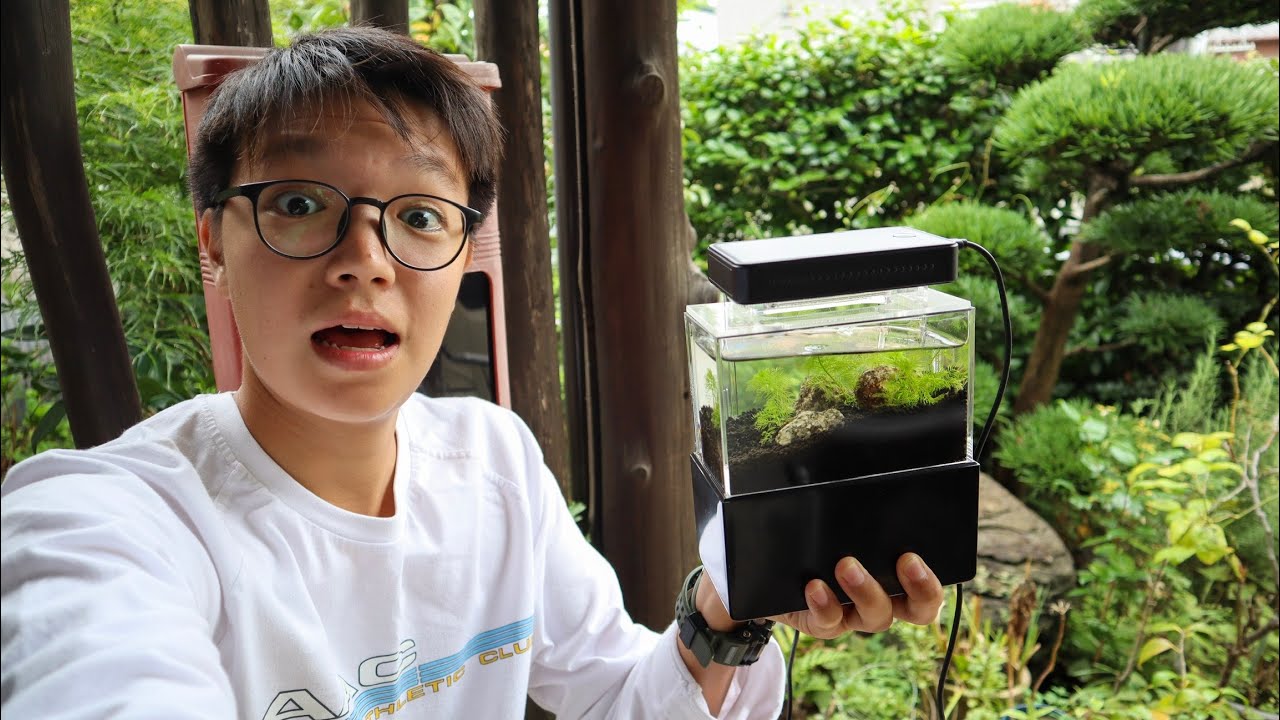 World's Smallest Planted Aquarium Set Up