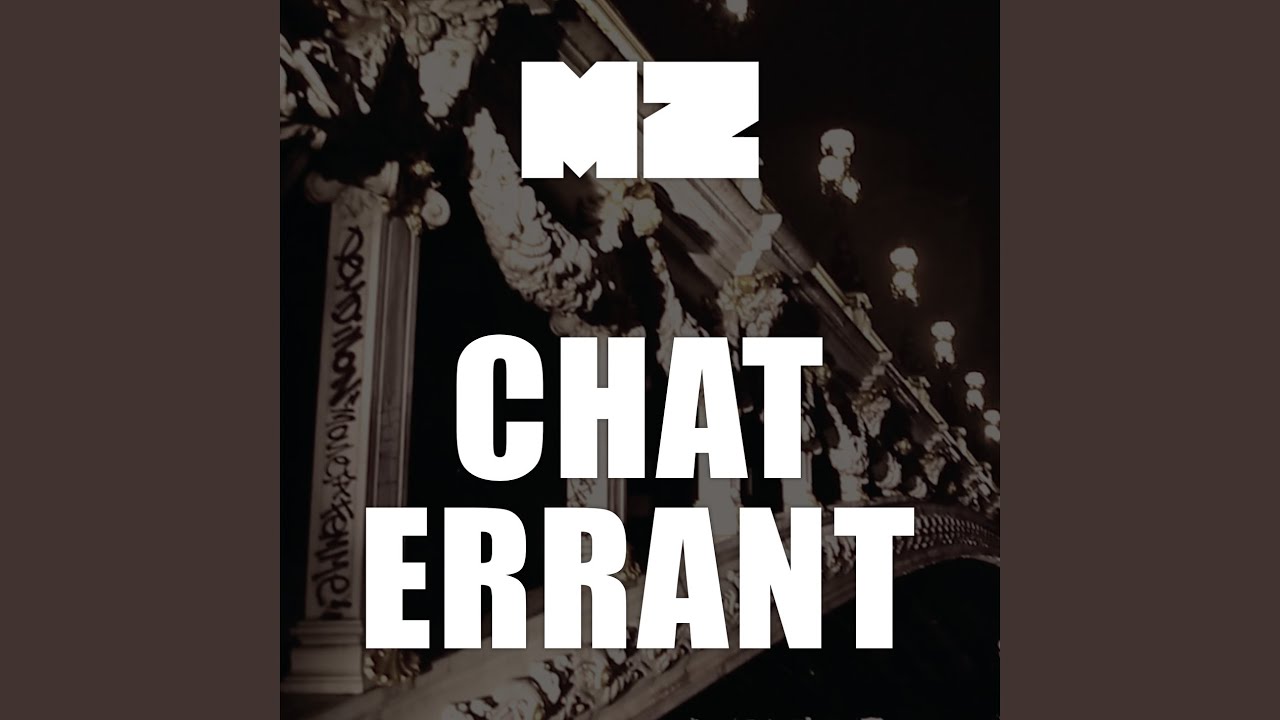 Chat errant