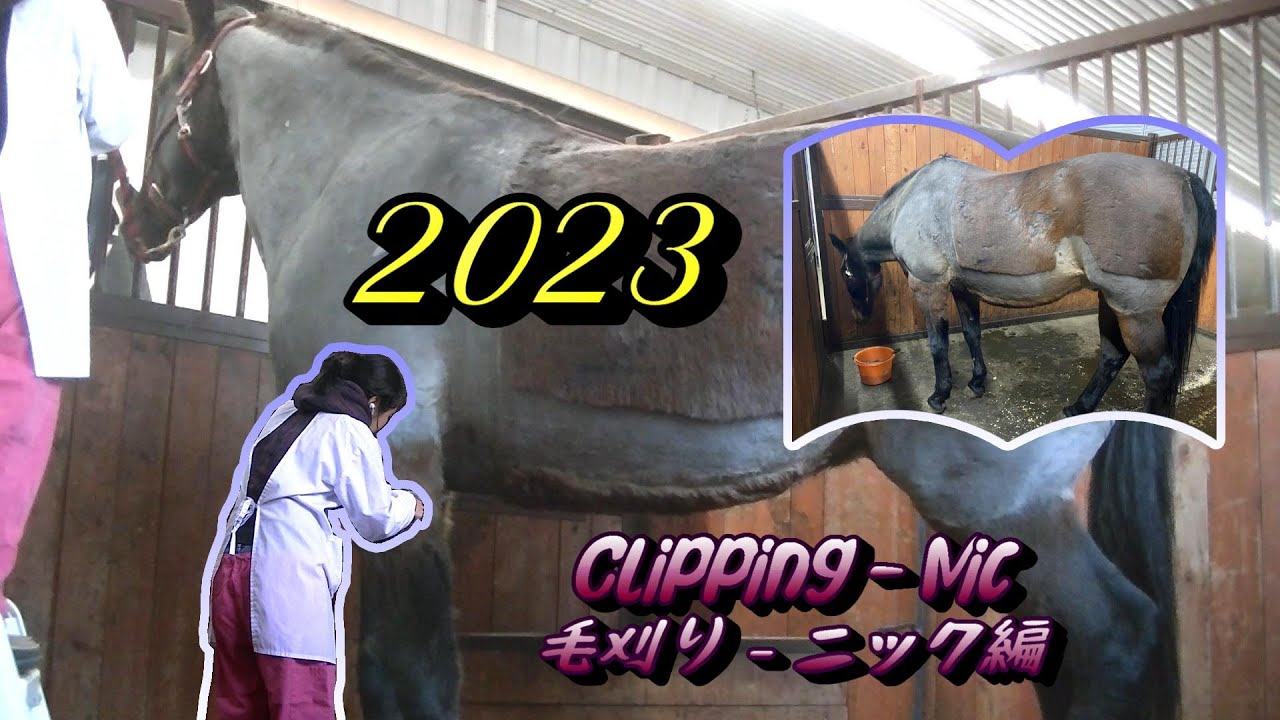 毛刈り2023 - ニック編/Clipping 2023 - Nic