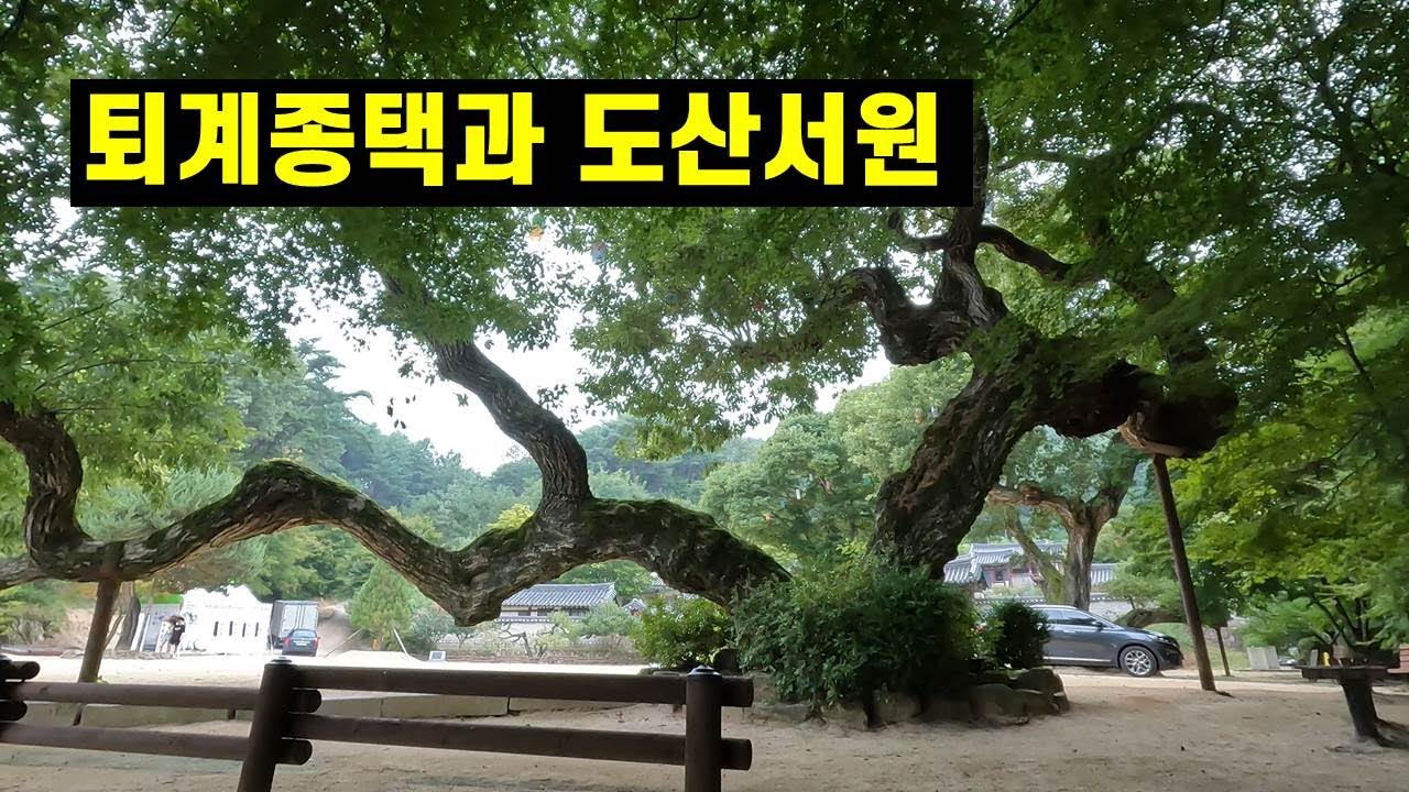 퇴계종택은 지금??    그리고 군자마을 과 도산서원