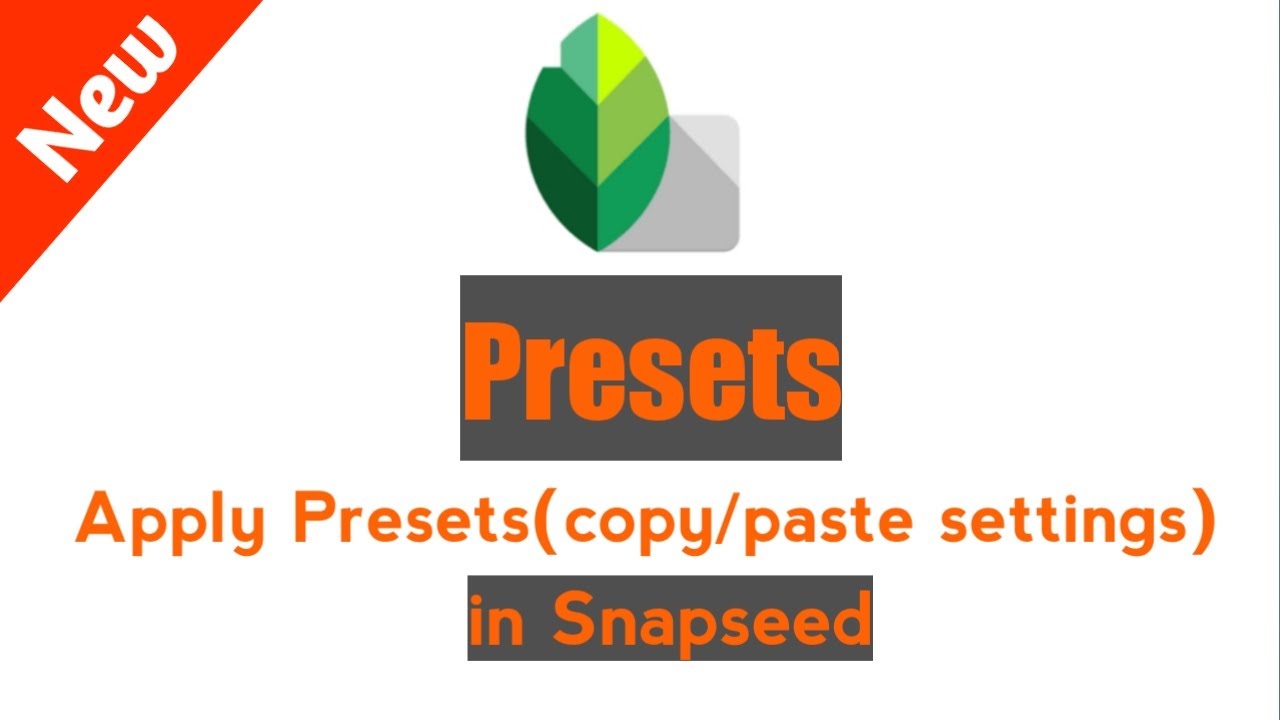 How To Copy/Paste Settings In Snapseed || Snapseed New Editing 2020