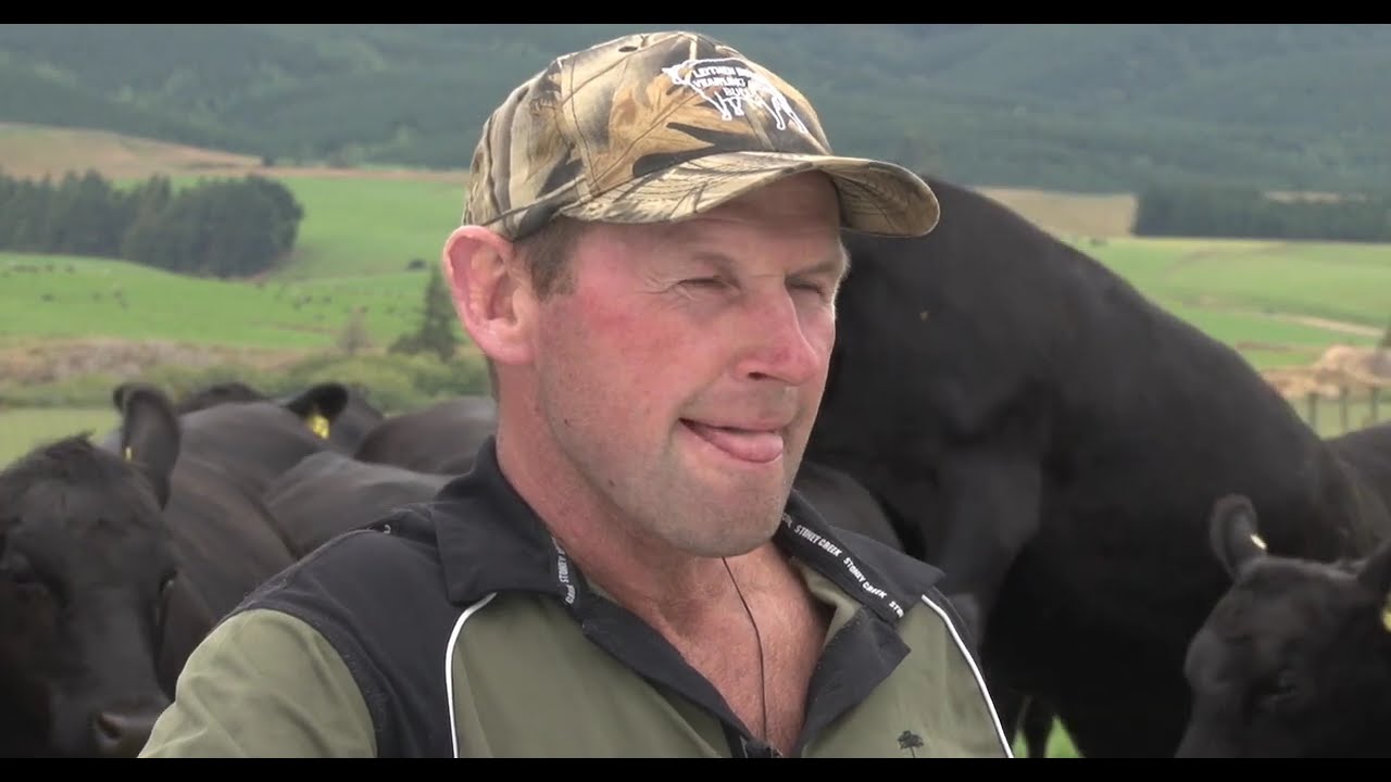 PGG Wrightson Stud Tour - Ep 35 - Stern Angus