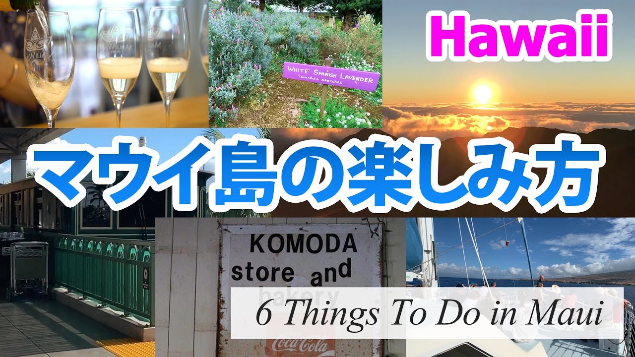 マウイ島の楽しみ方 ｜ハワイ離島ガイド [Myハワイ]