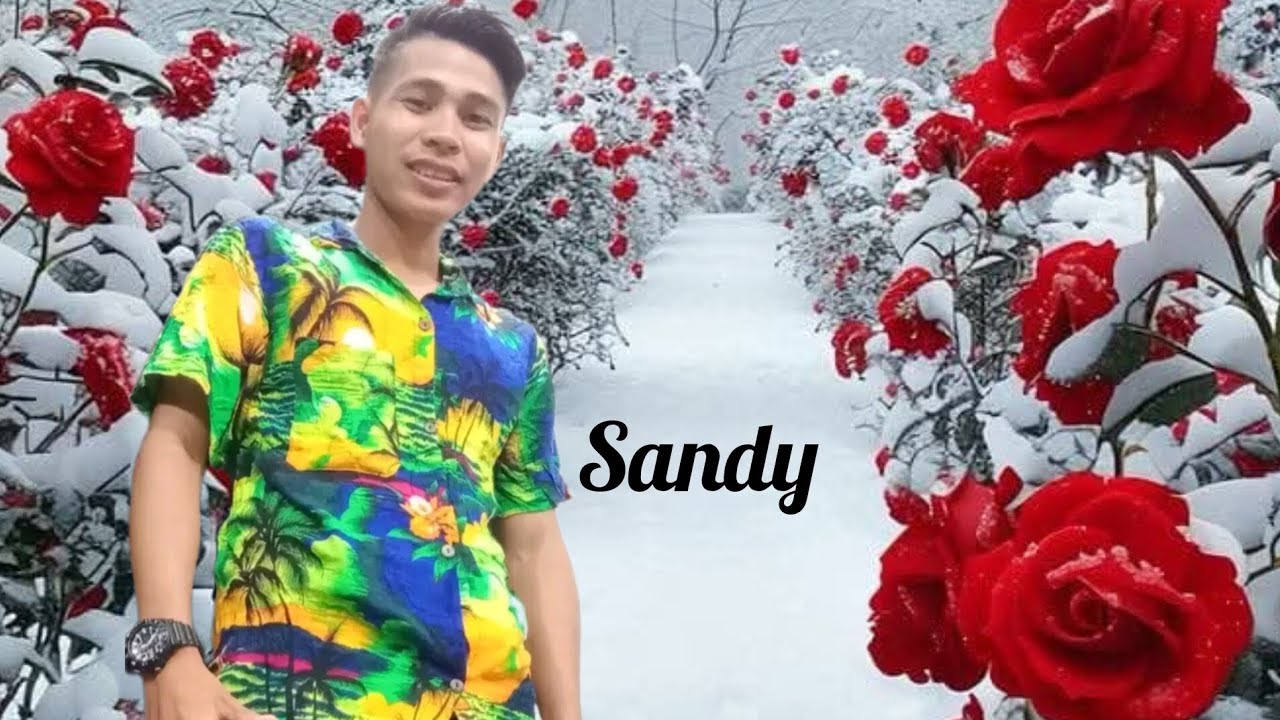 Rijok voc:Sandy