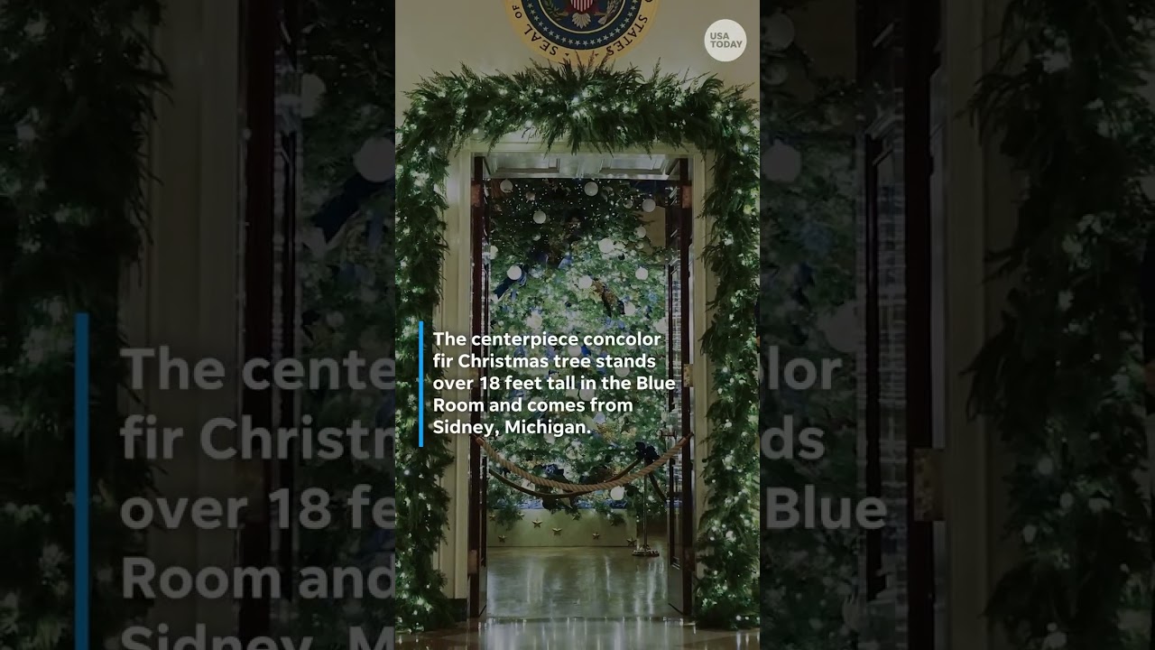 Melania Trump's White House Christmas decor includes Lego, 51 trees