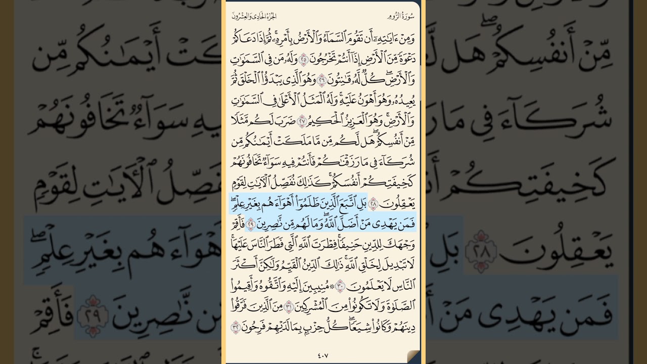 القرآن الكريم سورة الروم من الايه الكريمه 25 إلى الآية الكريمة 41 محمد ايوب