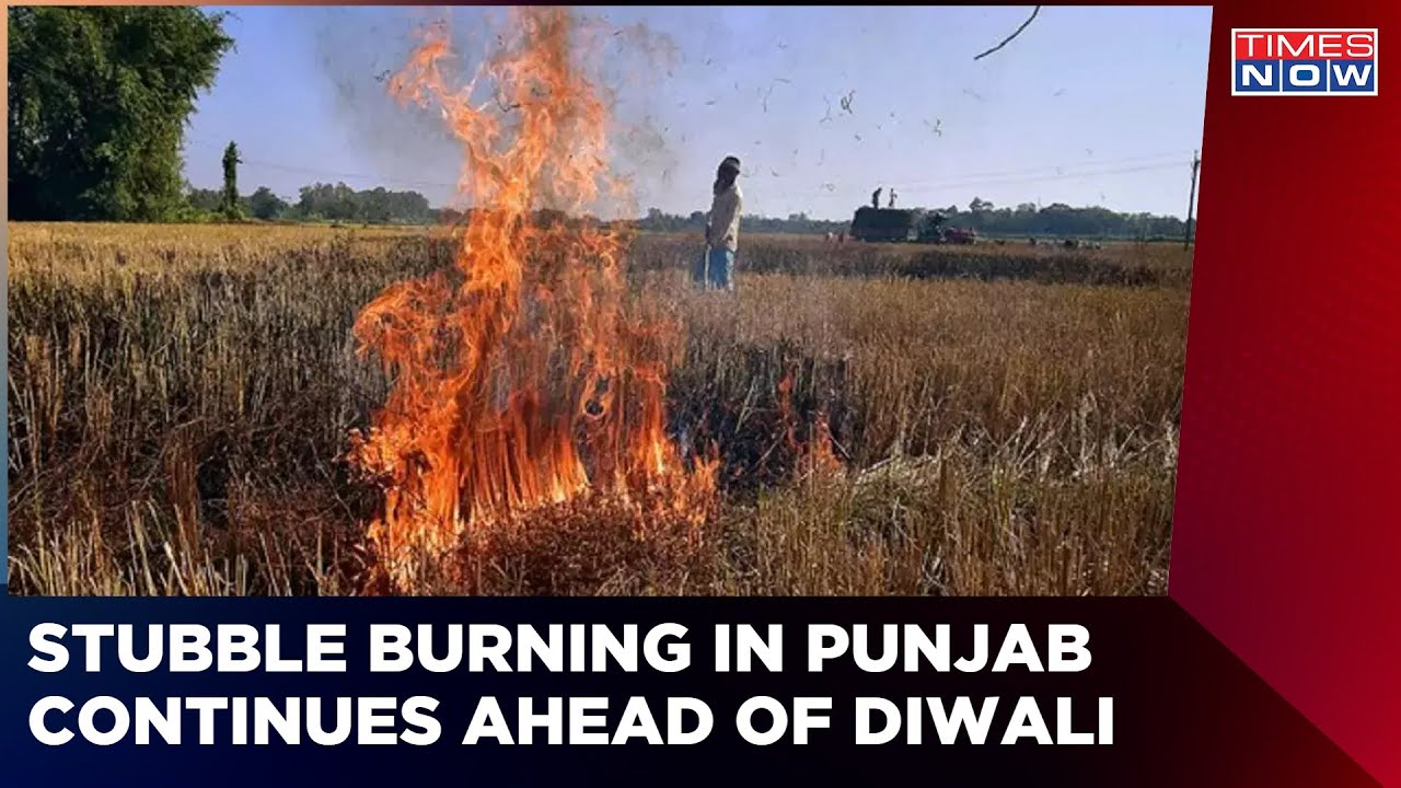 Punjab Agriculture Minister Kuldeep Singh Dhaliwal : 'Only 700 Farm Fires Reported This Year '