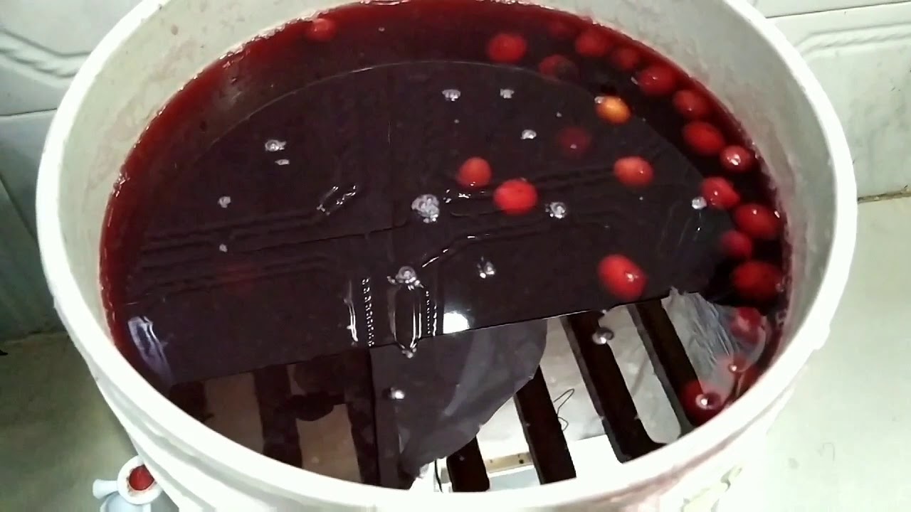 VINO DE COROZO COMO HACERLO  NATURAL