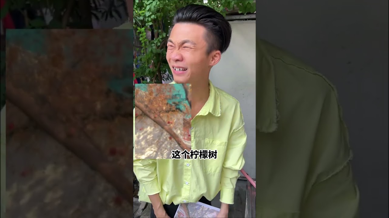 橙黃橘綠...手鐲！？惹得要誇她可愛才可以得手！🤣