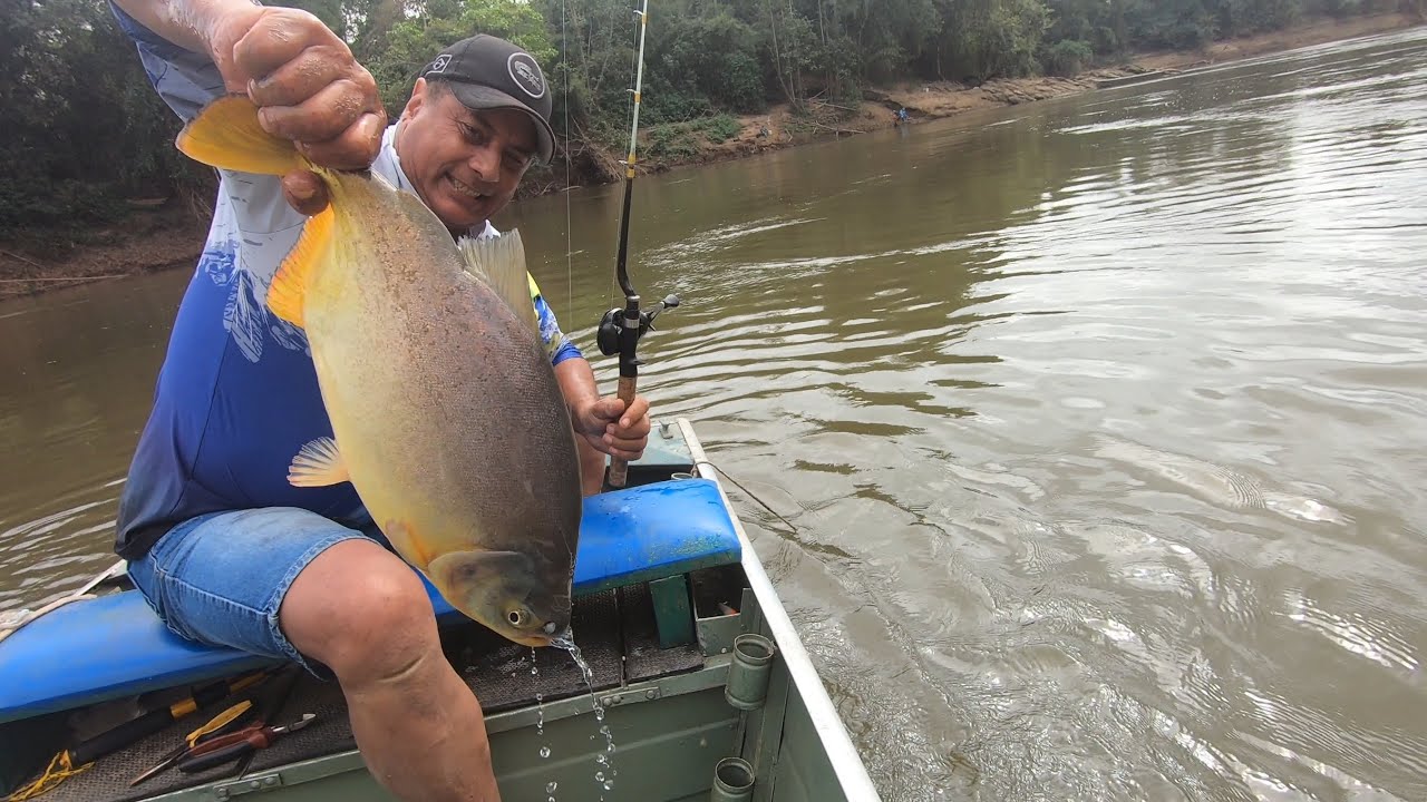 RIO MIRANDA TÁ BOM DE PACU...MAIS UM ÓTIMO DIA DE PESCARIA.