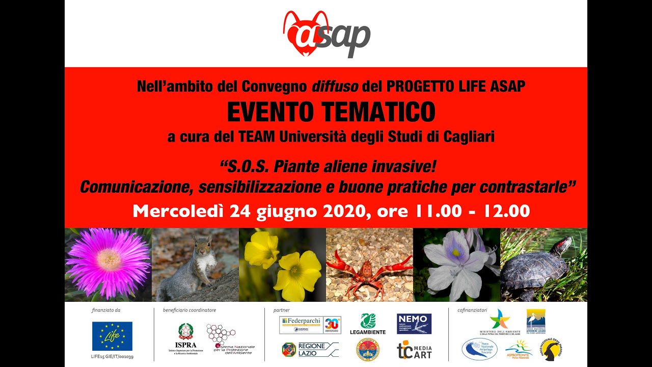 SOS piante aliene invasive! Parte 1