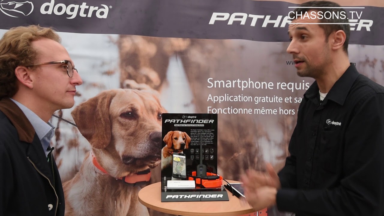 Le collier de dressage et repérage Dogtra Pathfinder