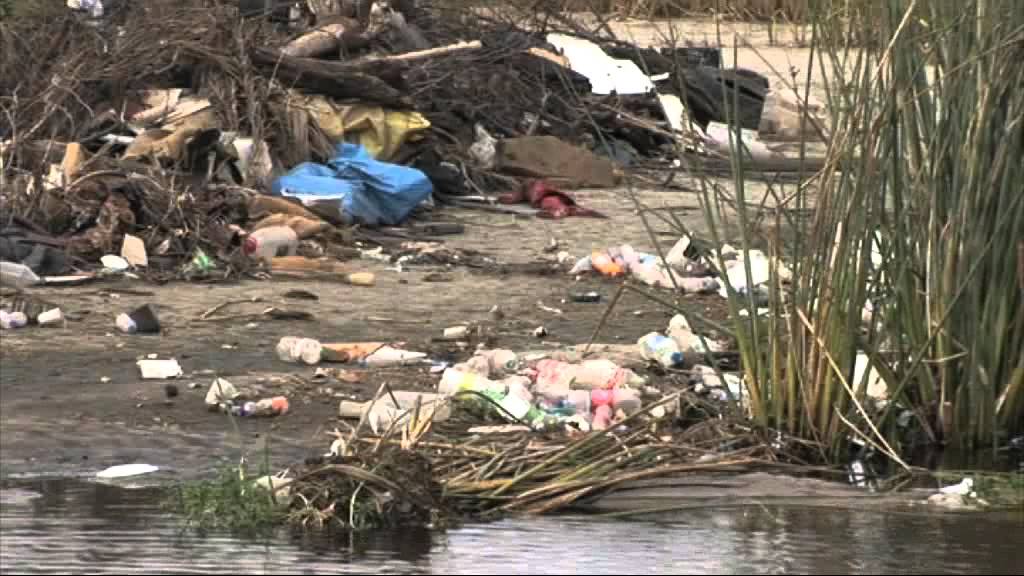 The WasteWise programme overview