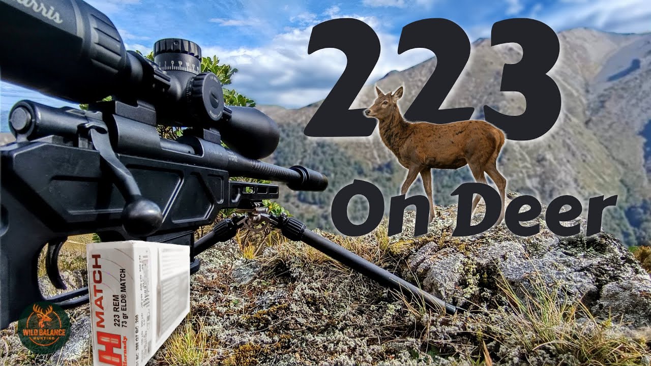 223 on Red Deer: Hunting with the Elude Howa Mini and ELD-M ammo in the Scenic NZ Alps