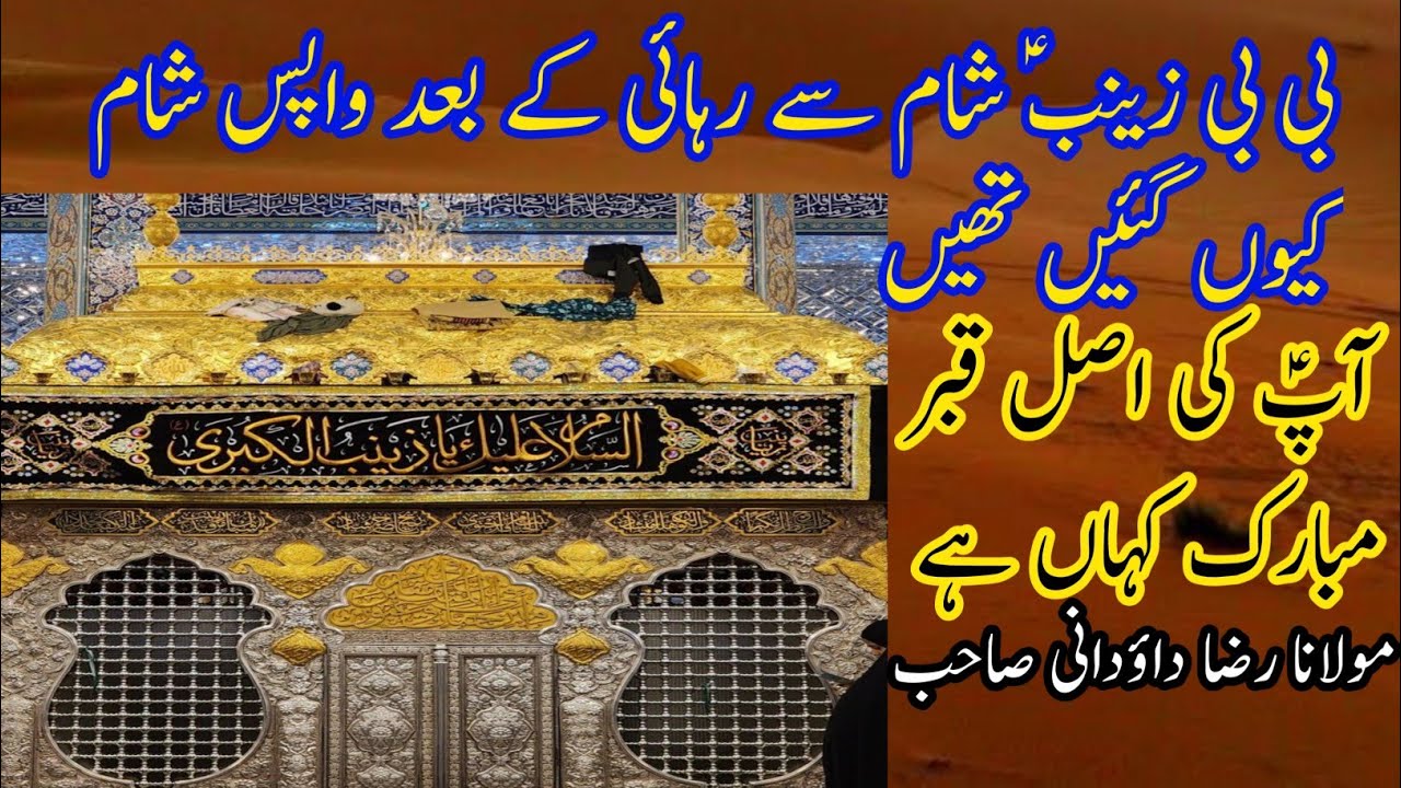 Bibi Zainab SA Sham Se Rehayi Ke Bad Wapis Sham Kiyon Gai |  Hazrat Allama Maulana Raza Dawoodani