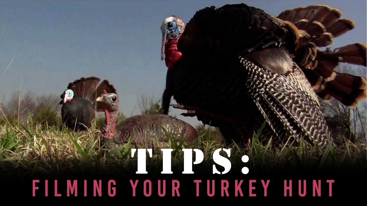 Turkey Hunting- Tips to Filming Your Hunt
