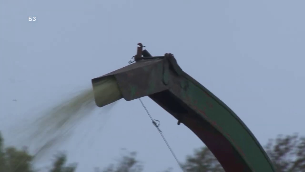 KWS hibridi ZA KLIP - da da klipčinu - FAO grupa 600 - ali i KAKAV JE TO HIBRID DON ŽUAN !