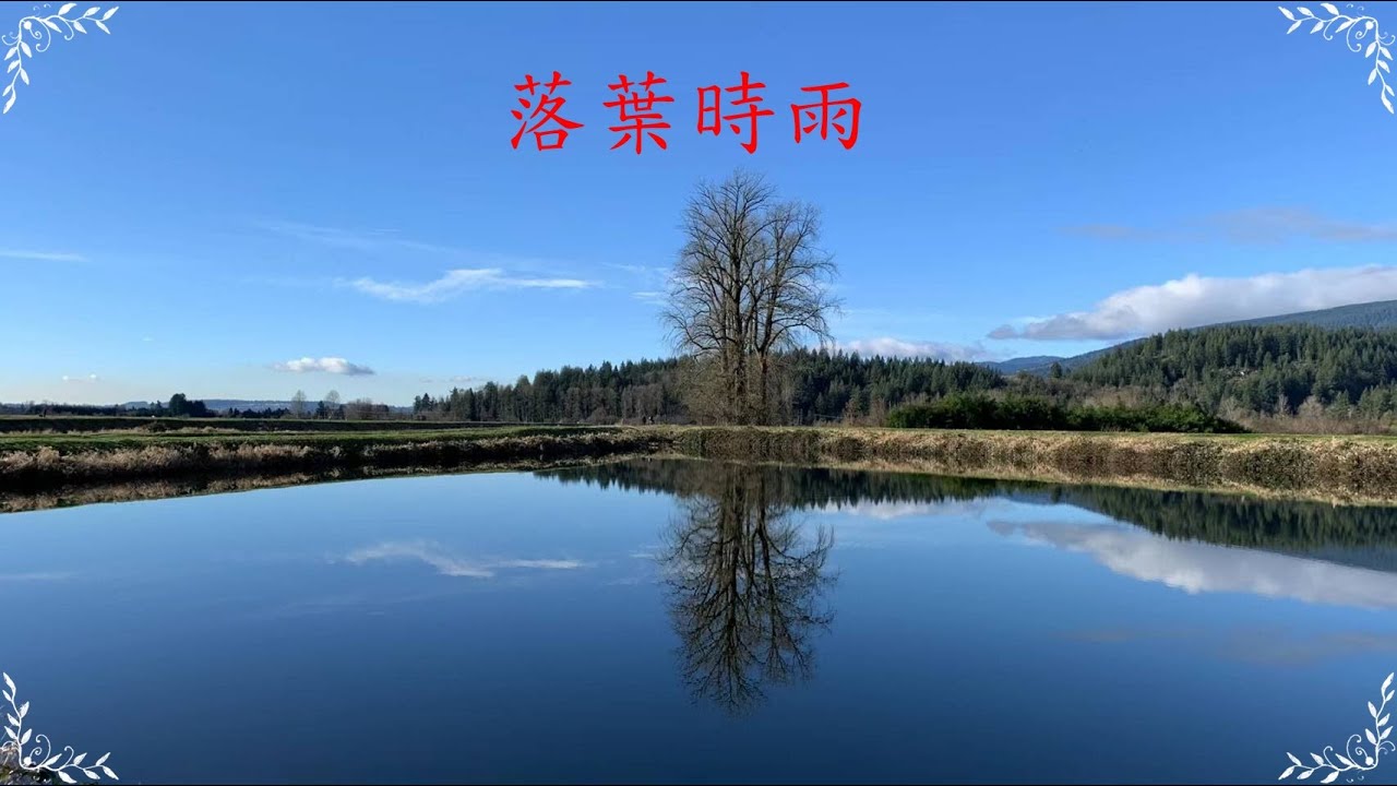落葉しぐれ----落葉時雨   好聽! ! !