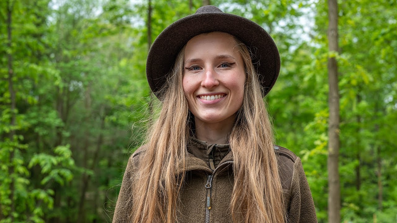 Bienen, Bäume und Biodiversität | Mein Wald ist für Dich da