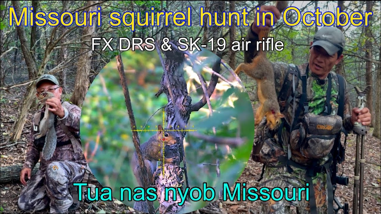Охота на белок Gray и Fox с пневматической винтовкой | FX DRS | FX M3 | LCS SK-19 | Tua nas nrog ...