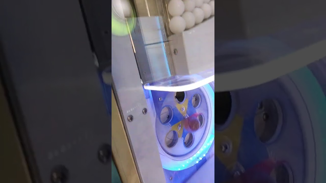 來到湯姆熊花1000元系列