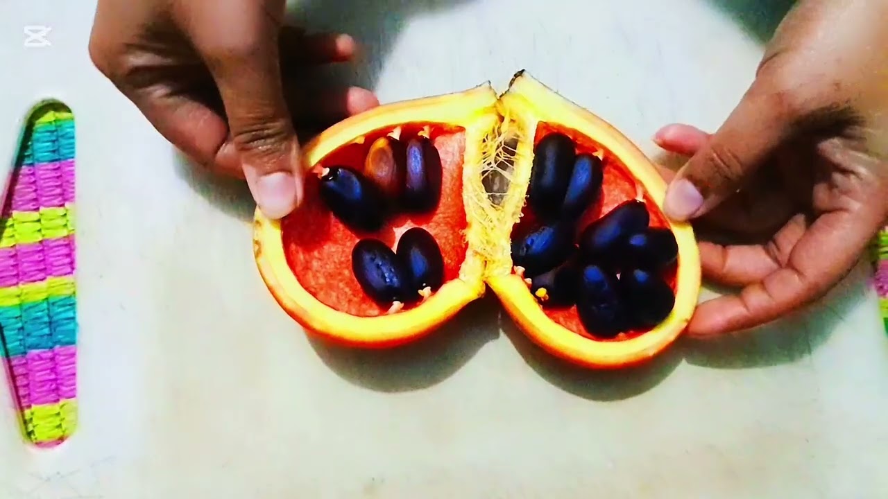 জারা এ বাদামটা খেতে জানেনা, 😋😋#cooking #food