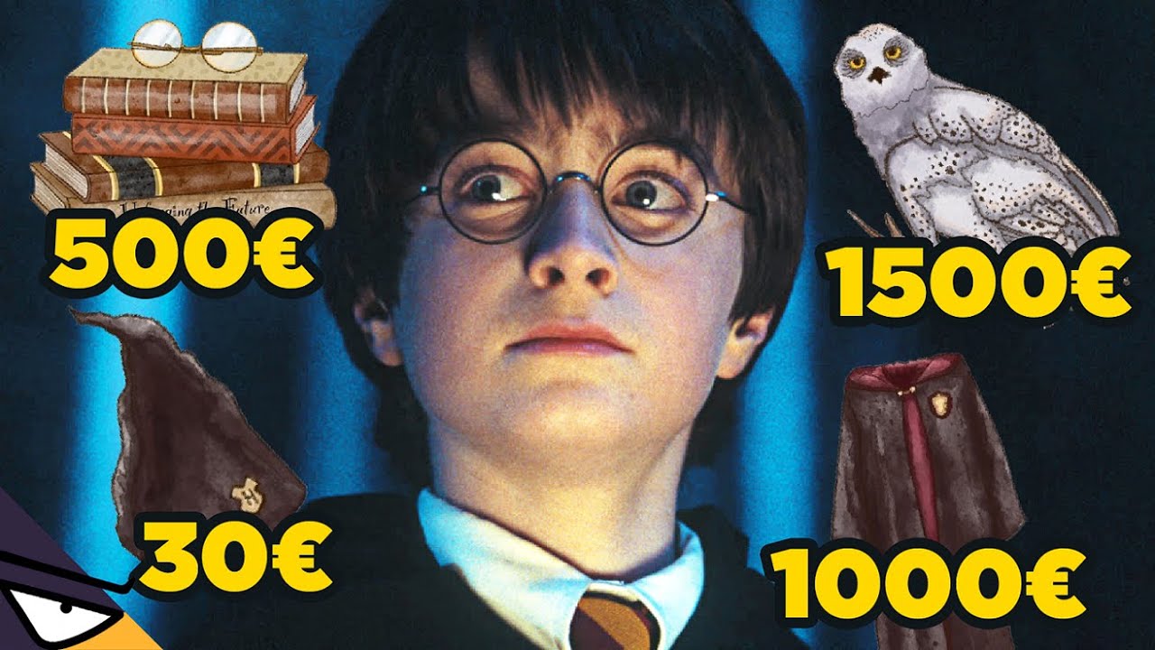 Combien coûte une ANNÉE à POUDLARD ? (Harry Potter) ✨