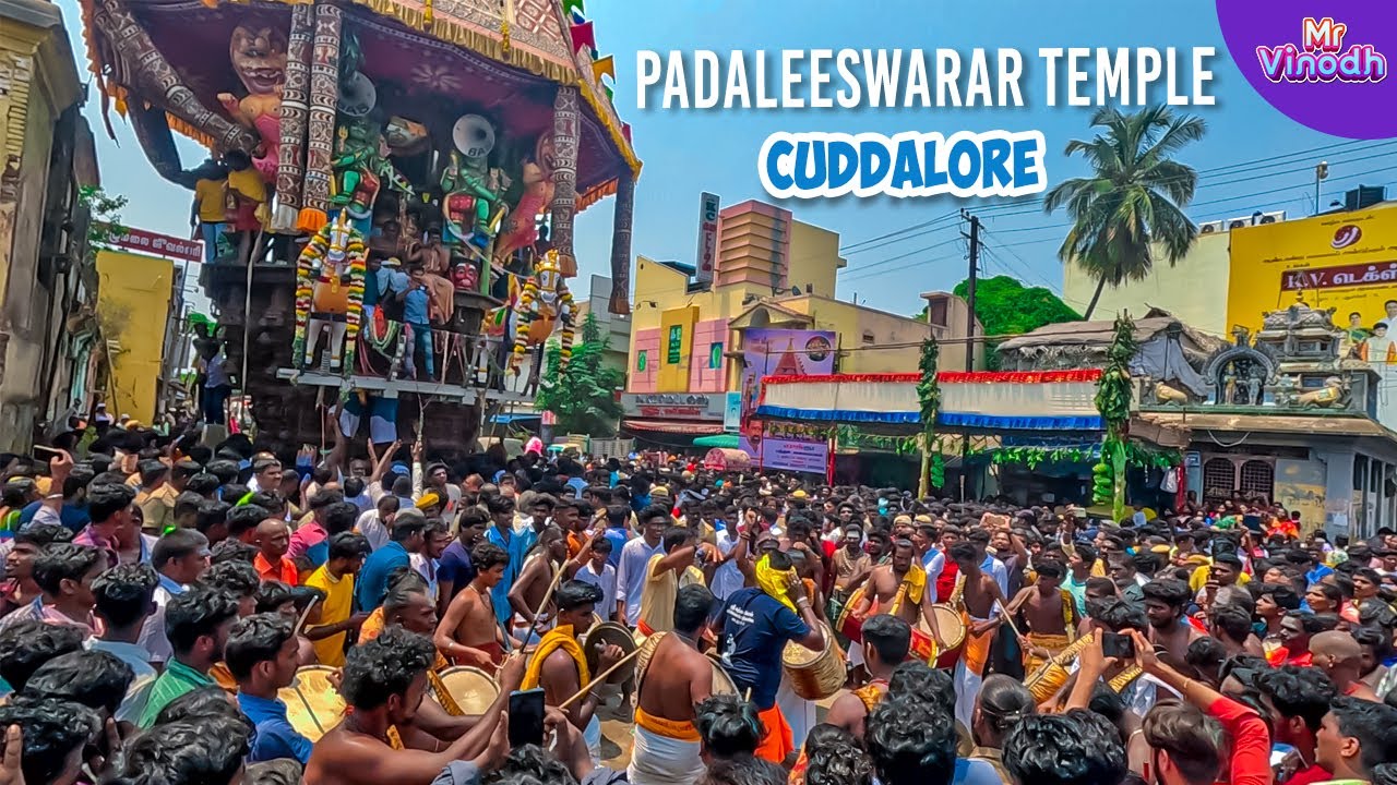 பிரசித்திபெற்ற பாடலீஸ்வரர் கோயில் தேர் திருவிழா: குவிந்த பக்தர்கள் | Cuddalore | Mr Vinodh
