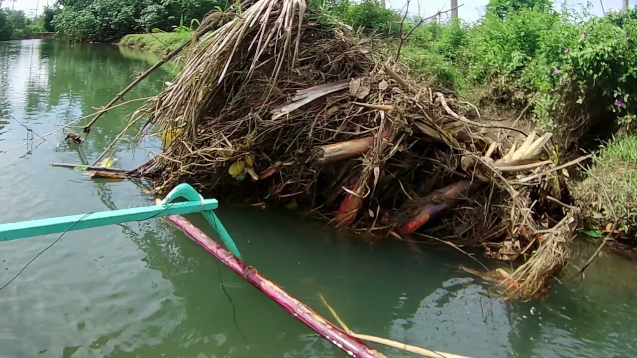 FULIWANG 58000w NGEBOLANG DI AIR PAYAU