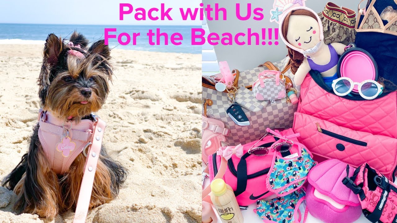 Pack with Us for the Beach | Pack with Me | Dog Bag | Dog Mom | Céline + Me