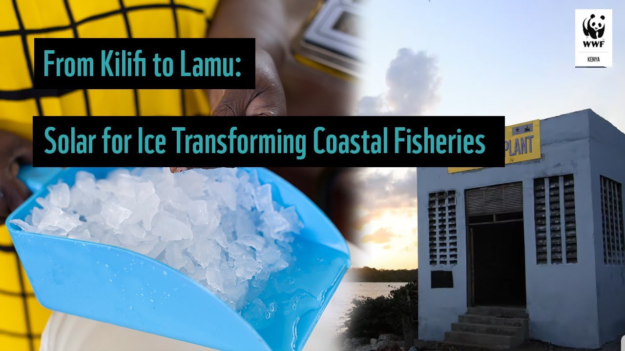 From Kilifi to Lamu: Solar Ice Transforming Coastal Fisheries
