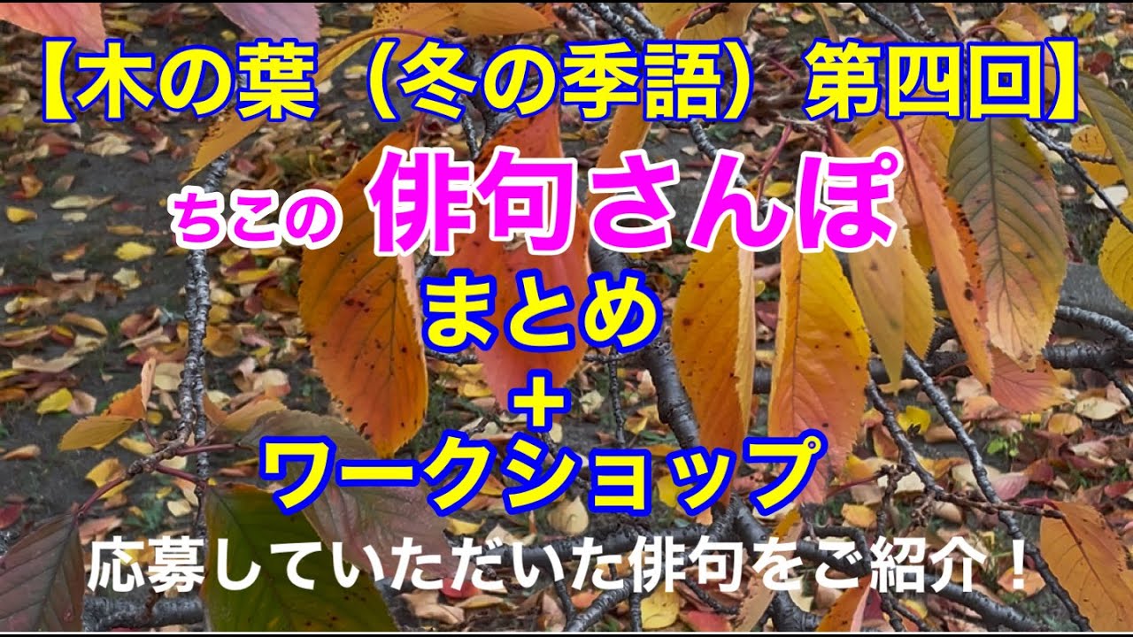 【俳句さんぽ・221回】木の葉（冬の季語）第4回目まとめ＋ワークショップにいただいた俳句をご紹介！