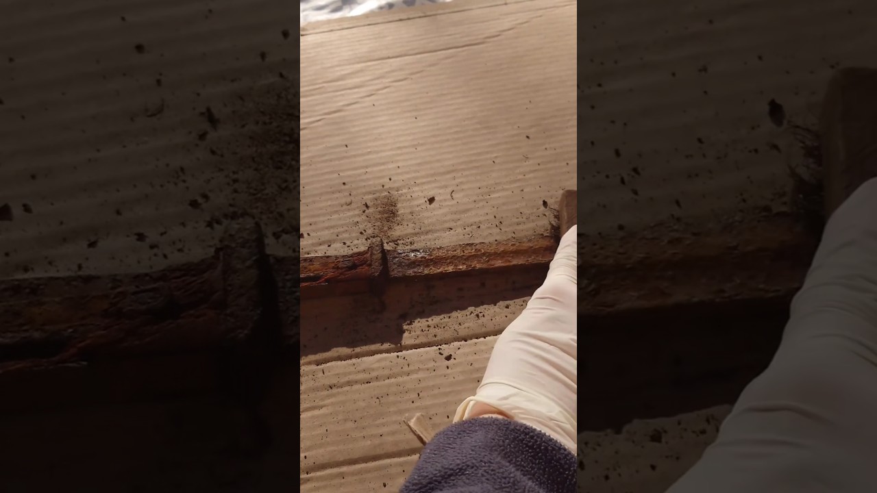 Rusty german bayonet restoration part 1 