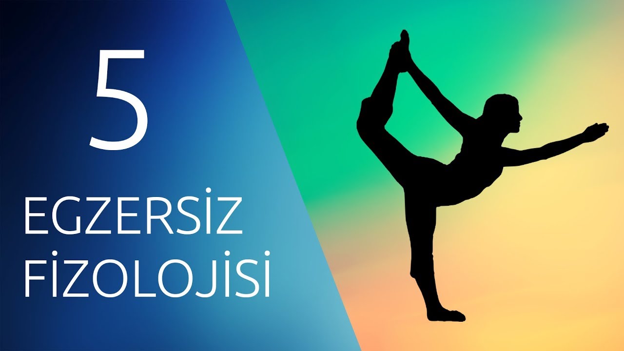 EGZERSİZ FİZYOLOJİSİ #5 #Egzersiz ve #Toparlanma