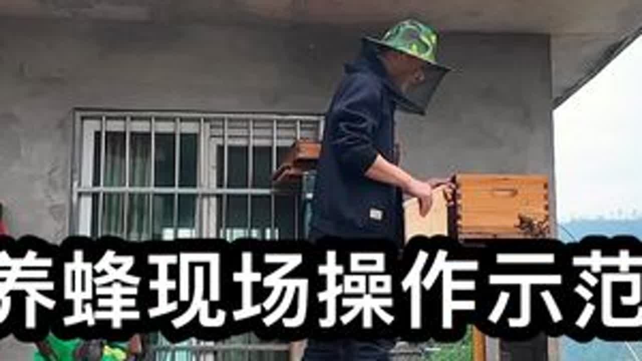 新手养蜂 看看养蜂新手里面巢框怎么摆放，有哪些新手容易范的错误。#农村养蜂人 #我的乡村生活 #农村生活 #诱蜂桶 #养蜂技术分享