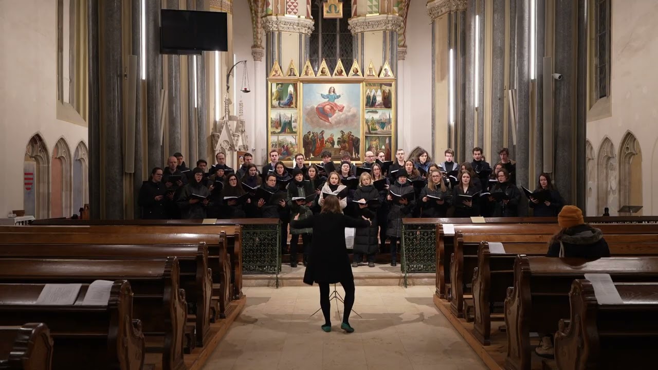 Sub tuum praesidium, antyfona z Tryptyku Maryjnego - Marian Sawa